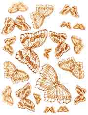 Bright Gold Butterflies