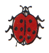 Ladybug Bits