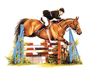 Horse - Show Jumping