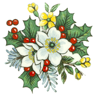 Christmas - Poinsettia - Holly and Berries