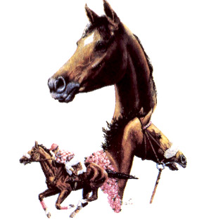 Horses - Thoroughbreds