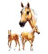 Horses - Palomino