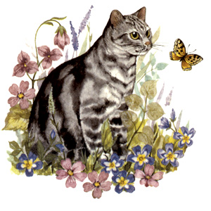 Cats -Grey Tabby Purr-fect