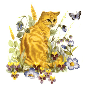 Cats -yellow Tabby Purr-fect