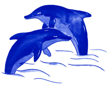 Dolphins - Blue