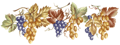 Fruit - Grapes Borber
