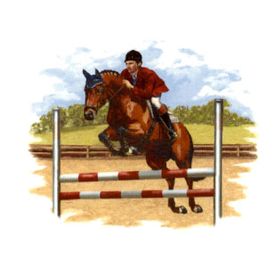 Horse - Show Jumping