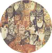 Cats - Collage