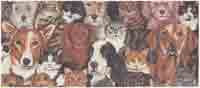 DOGS & CATS - COLLAGE WRAP
