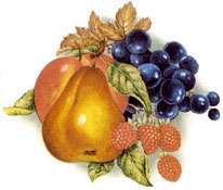 Fruit - Pear, Grapes, Red Raspberries