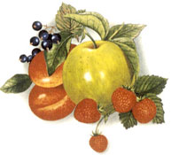 Fruit - Rich Colors - Green Apple, Strawberries, Blueberries, Plums