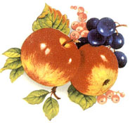 Fruit - Rich Colors - Red Apples