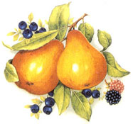 Fruit - Rich Colors - Pears, Blueberries, Raspberries