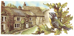 English Cottage and Bluetit Bird Wrap