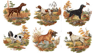 Dogs - Hunting Dogs