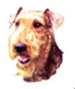 Dog Airedale Terrier Bits