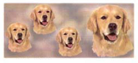 Dog Wrap - Golden Retriever