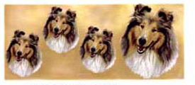 Dog Wrap - Rough Collie Sable