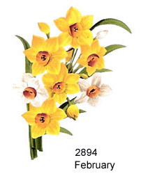 Flowers of the Months -February