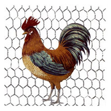 Rooster Pen
