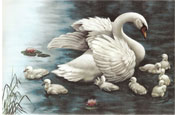 Swan and Ducklings Mural