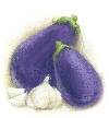 Vegetables - Eggplant, Garlic