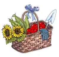 Corn, Apple, Sunflower  Baskets