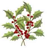 HOLLY WITH BERRIES