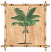 Palm Trees With Square Bamboo Border