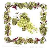 Green Grapes With Square Border