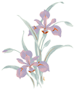 Mauve Iris Flower with Gold- GLASS -LOW FIRE