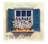 Colorful Windows with Flower Box