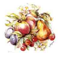 Fruit - Evesham Cluster - Pear, Plums, Cherries, Peaches