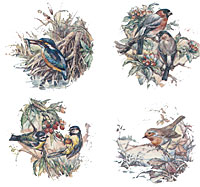 Assorted Birds Set of 4