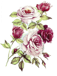 Rose Garden Flowers