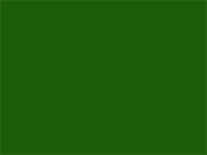 Dark Green Overall  Sheet Pantone Color 186c