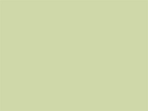 Sage Green Overall Sheet Pantone Color 454c