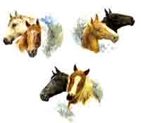 Horses Heads Set of 3
