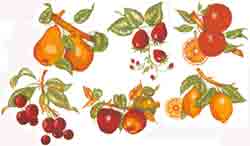 Orange, Apple, Lemon, Strawberry, Pear, Cherry