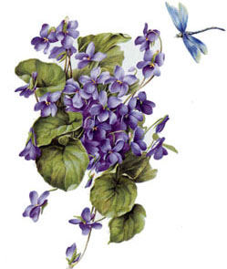 Violets and Dragonfly