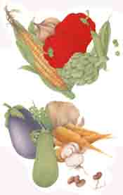 Vegetables, Corn, Peppers, Peas,  Artichoke, Eggplant, Zucchini, Carrots, Mushrooms, Potatoe, Garlic