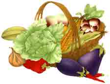 Vegetable Kitchen Mural, Eggplant, Lettuce, Corn, Peppers, Garlic, Radish, Starfruit