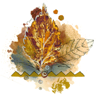 Leaf Fantasy Fall Colors