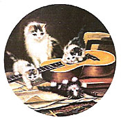 Cats - Precious Kittens Playing with Guitar