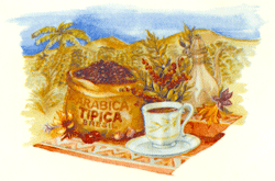 International Coffees - Arabica