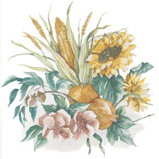 Corn and Sunflower