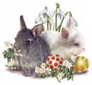 Easter - Bunnies