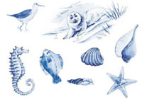 Blue Delft Nautical Bits - Shells, Seagull, Fish