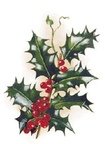 Christmas Floral - Holly