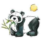 Animals - Panda Bear Bits